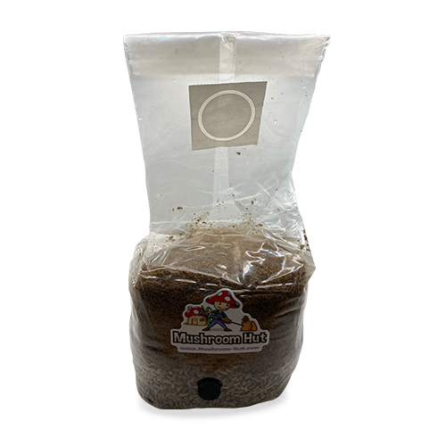 All In One Mushroom Grow Bag Hardwood 4lb. Mushroom Hut Mushroom