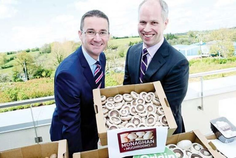 مزرعه Monaghan Mushrooms هاگ دانشنامه صنعت قارچ ایران و جهان