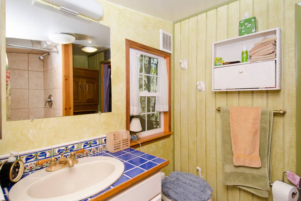 Mushroom Dome Cabin The Most Booked Listing on Airbnb