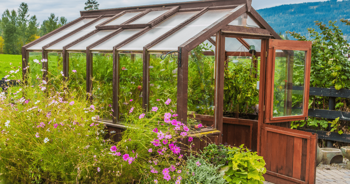 How to Build a Mushroom Growing House Complete Guide