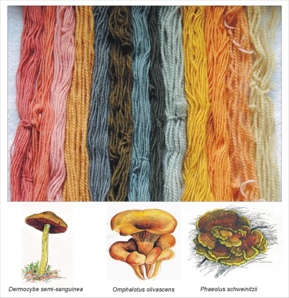 Mushroom Dyes at Taos Wool Festival, NM 2010 IMDI Mushrooms for Color