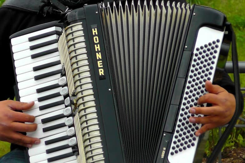 Piano Accordion Vs Button Accordion at Rhonda Sadler blog