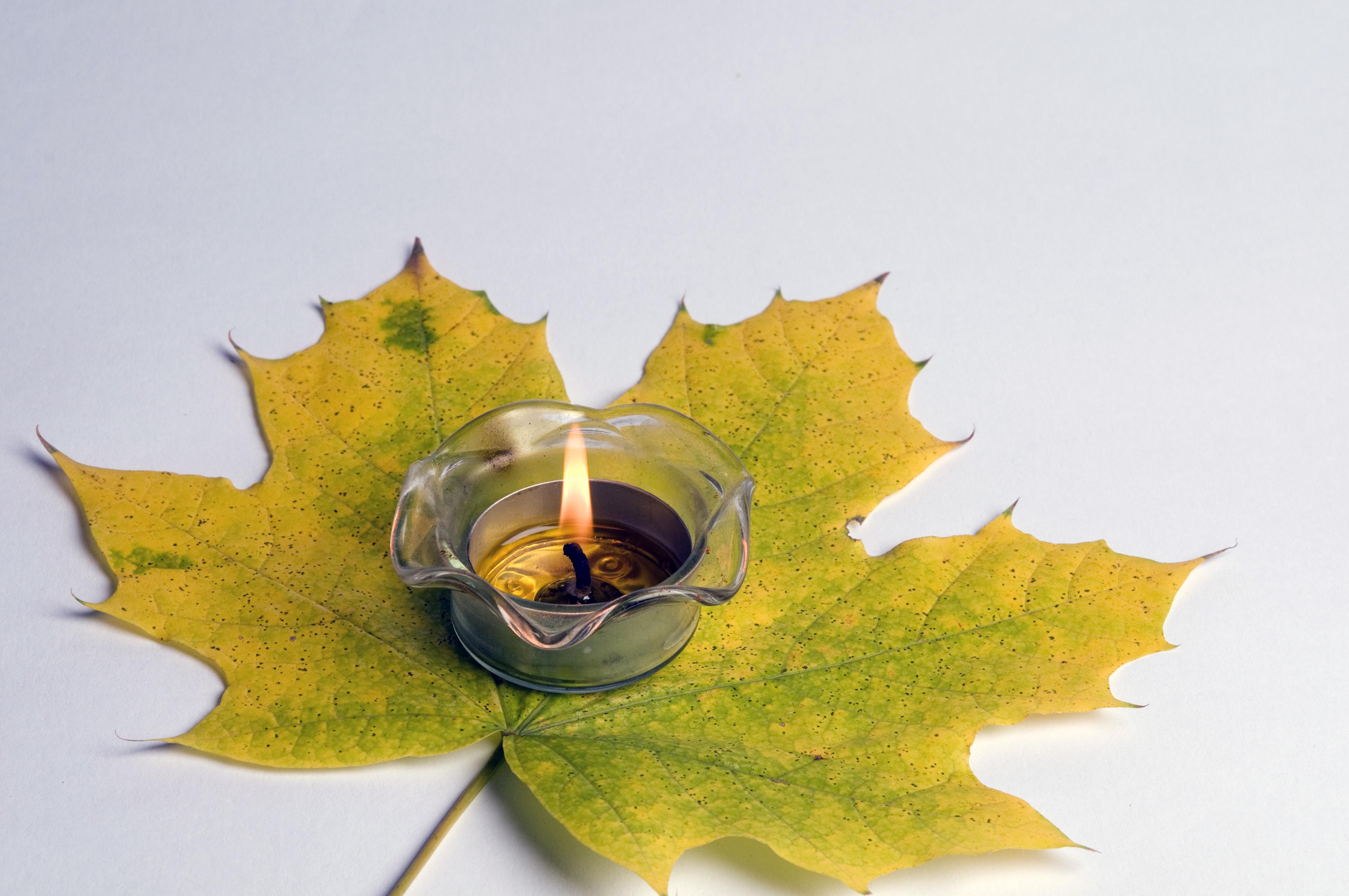 Nuts and Bolts Checking Out The Broadway Trends Musicals On Line