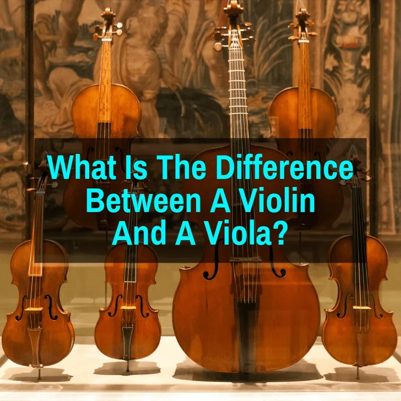 What Is The Difference Between A Violin And A Viola?