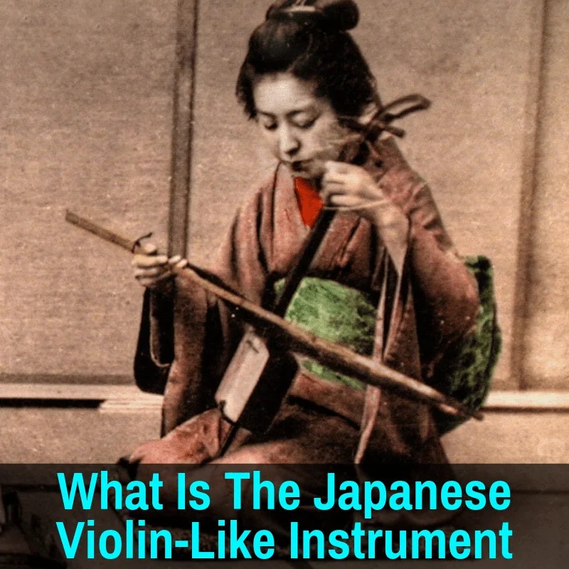 Japanese ViolinLike Instrument What Is It Exactly?