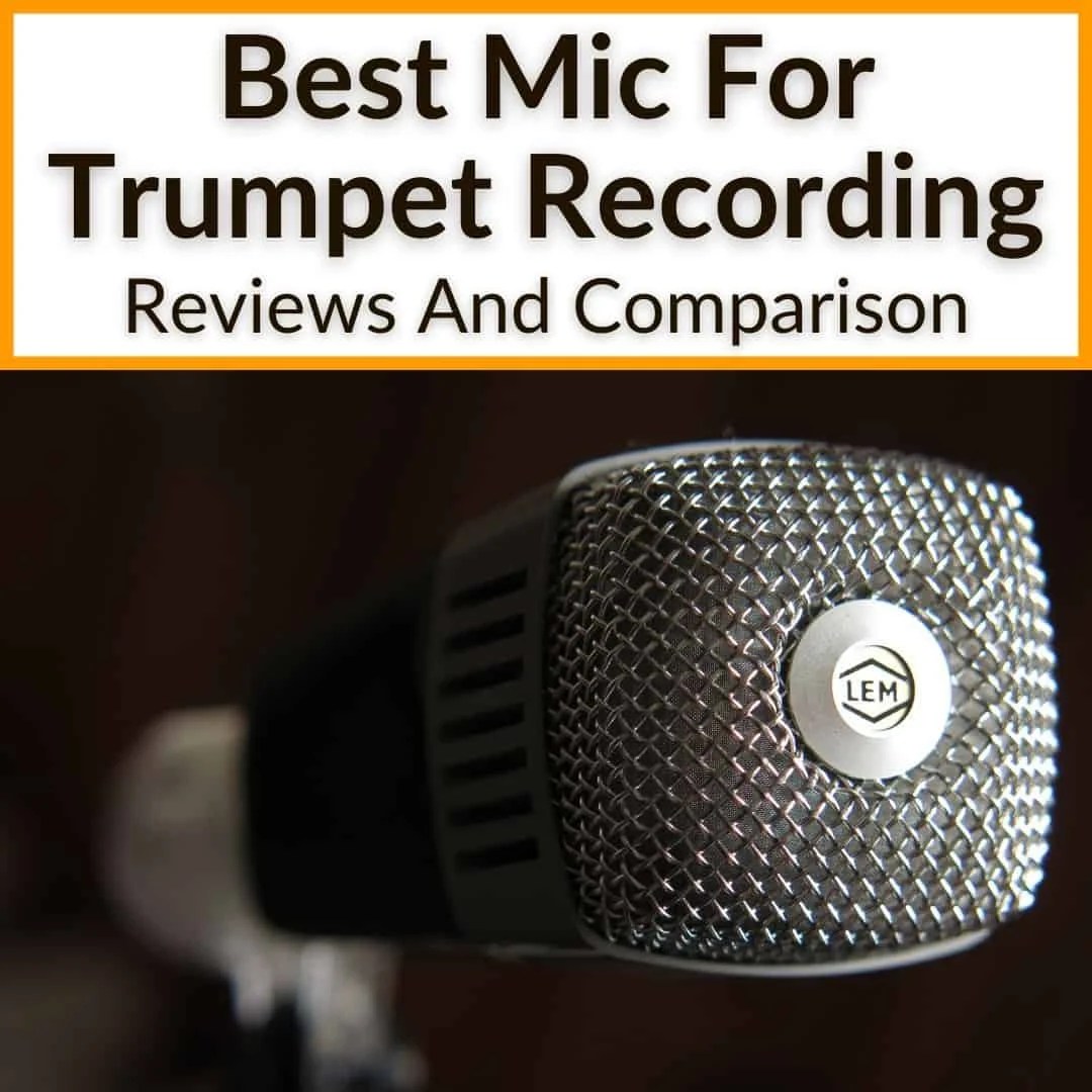 Best Mic For Trumpet Recording (Reviews And Comparison)