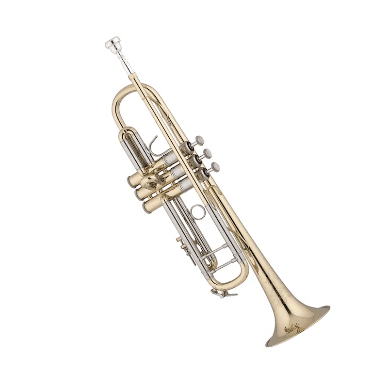 Shop Brass Instruments and Accessories McKenzie Music Etcetera