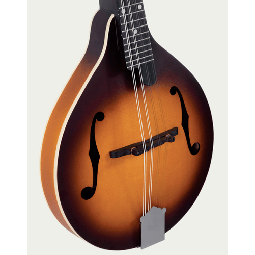 Recording King RAM3TS AModel Mandolin Music Folk St. Louis