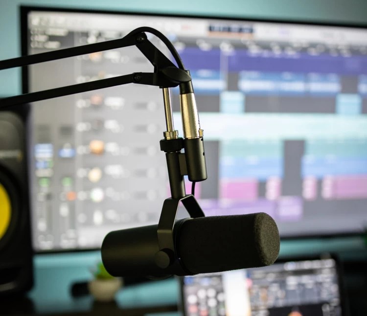 The 8 Best Studio Microphones Musician Nerd