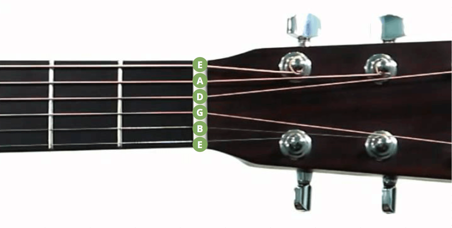 How to Play Guitar (an EASY Beginner's Guide) Musician Tuts