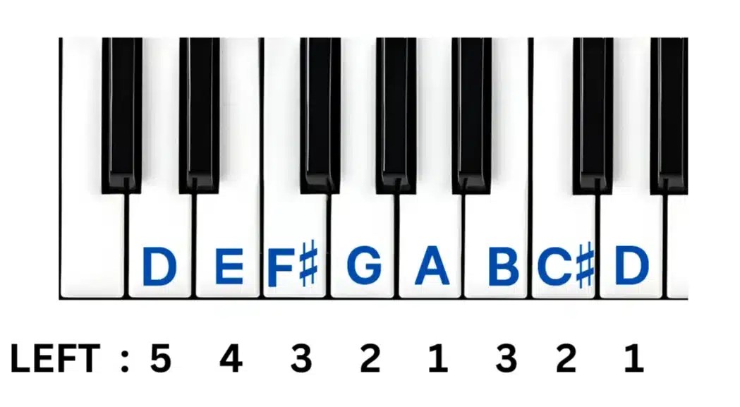 How To Play D Major Scale On Piano musicmaster.in
