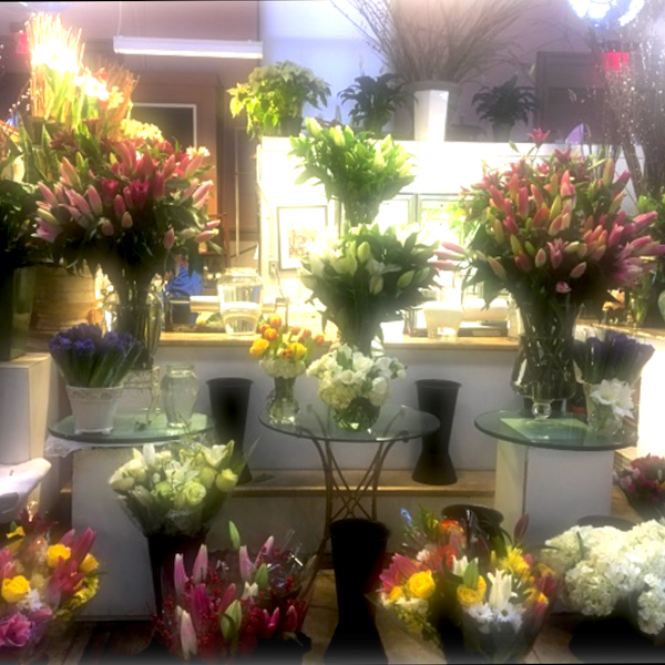 Warding Off Winter Doldrums Musings of Ms X.