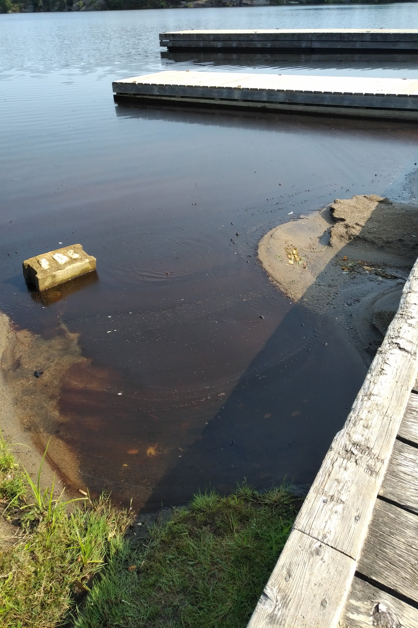 Gull Lake Park Beach Closed