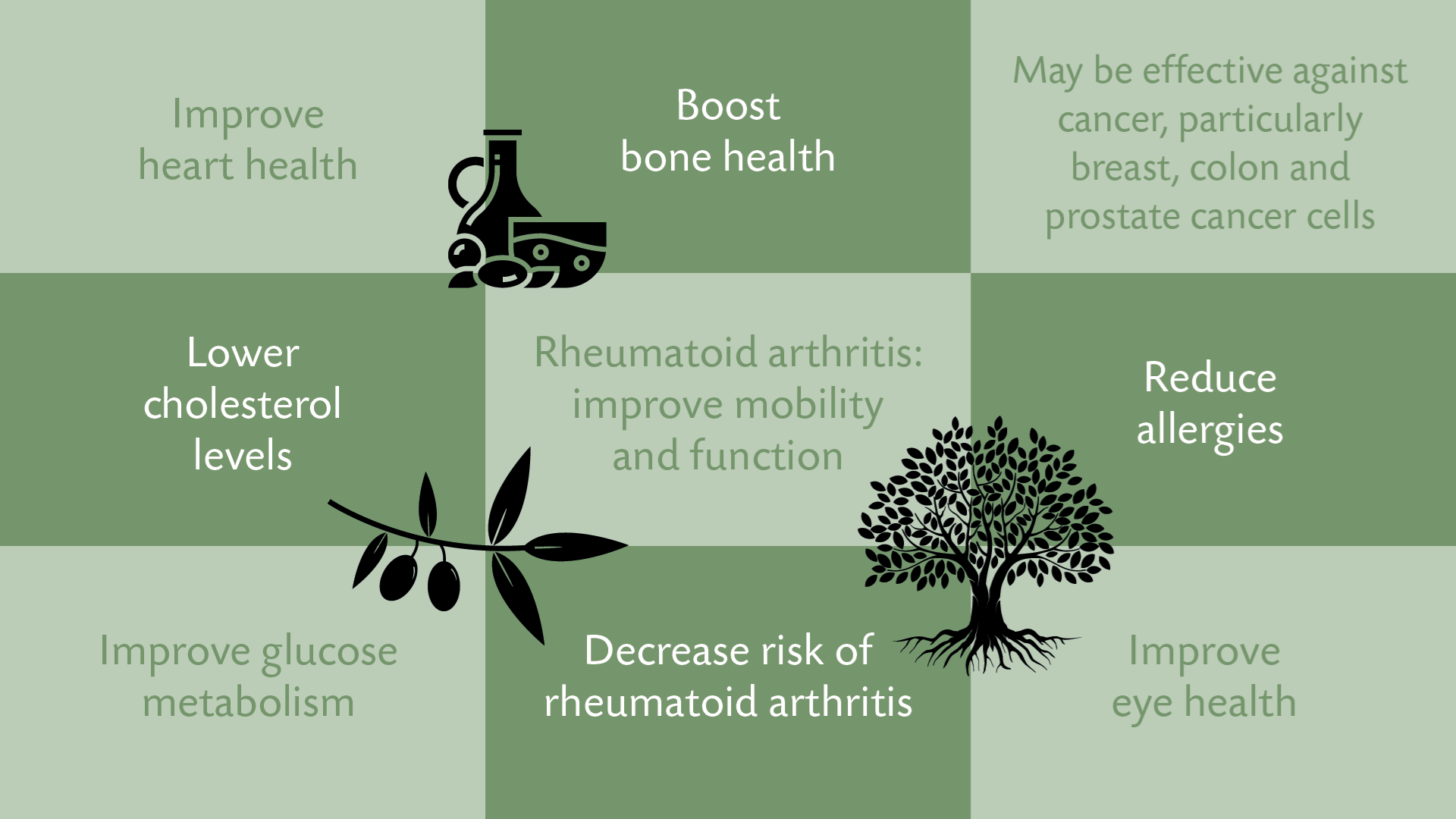 Olive Oil A Nutritious Wonder From the Qur'an and Sunnah! Muslim