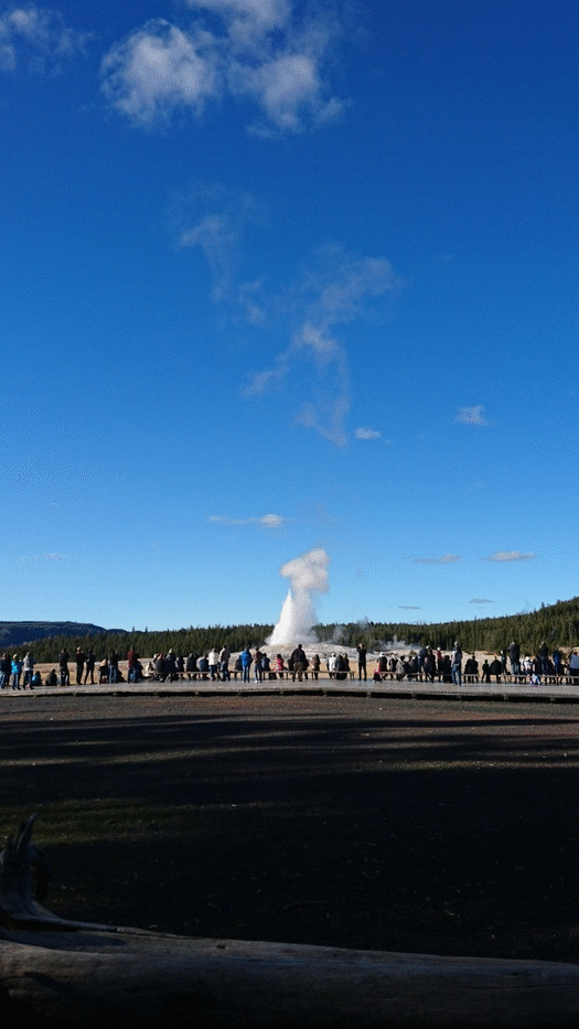 Yellowstone, Wyoming/Montana Mustang Road Trip USA