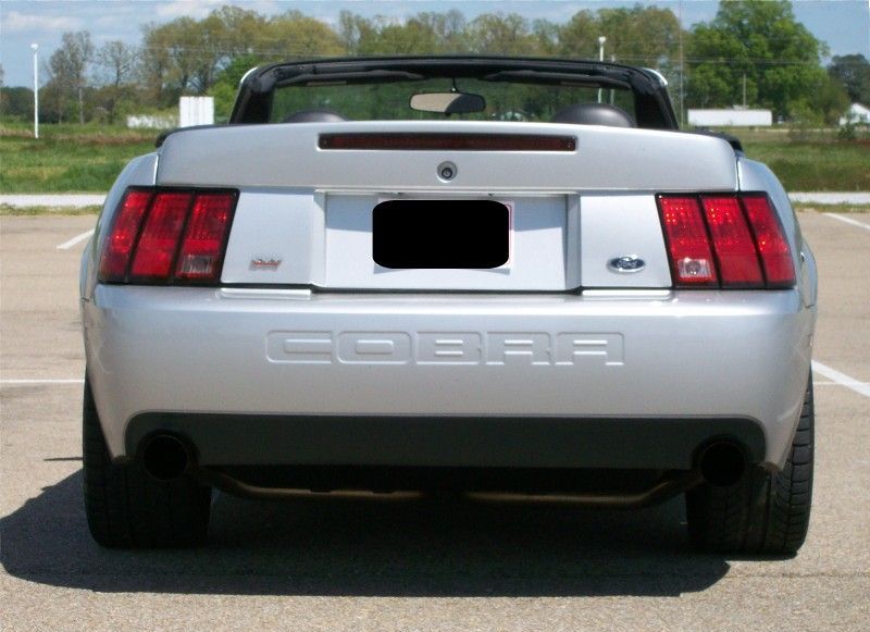Silver 2003 Ford Mustang SVT Cobra 10th Anniversary Convertible Photo Detail