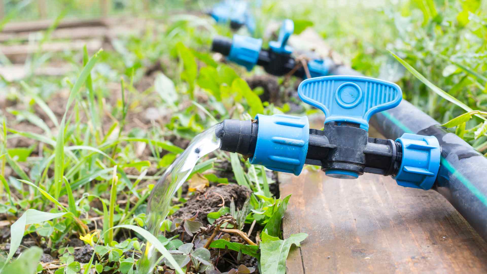 What Are The Benefits Of Drip Irrigation In Gardening?