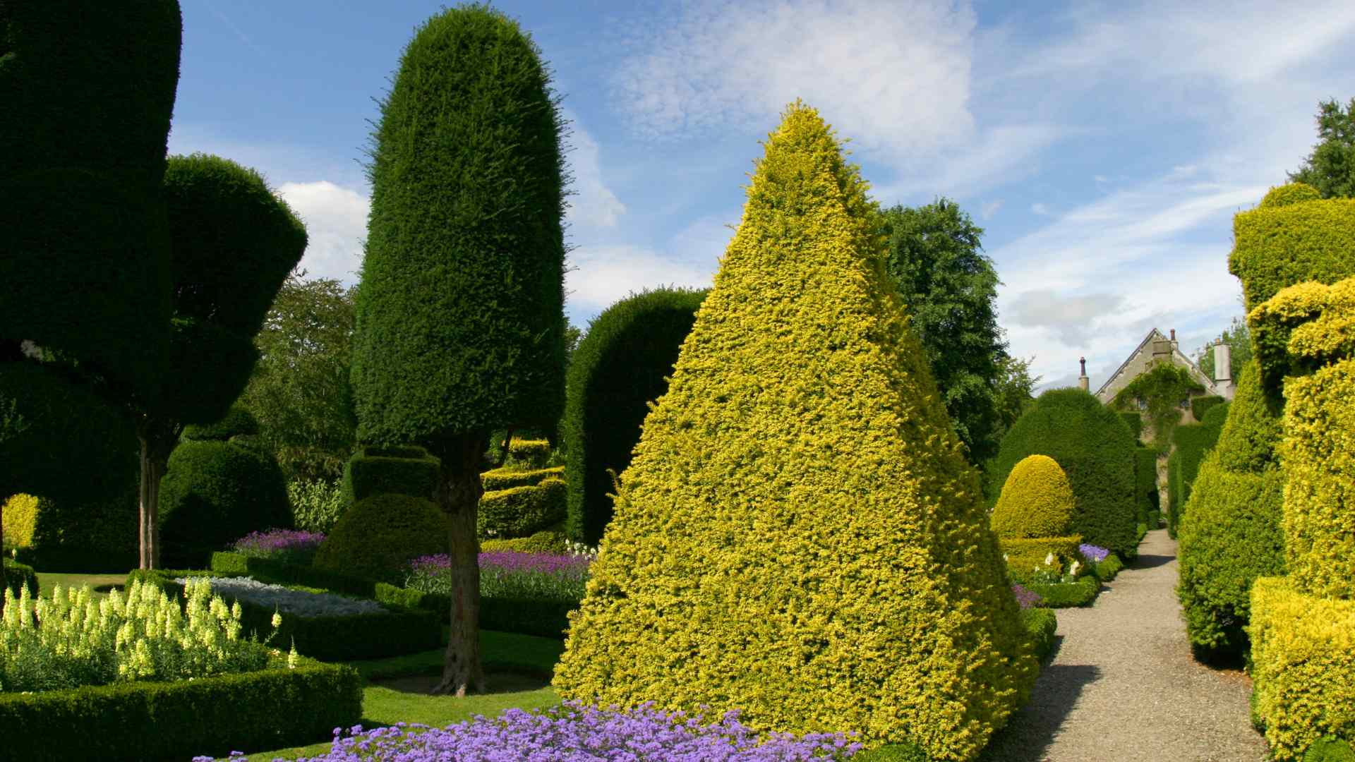 What Are The Techniques For Shaping Topiaries In Your Garden?