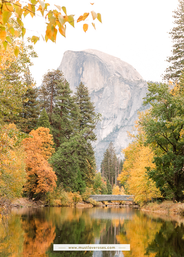 The Best Places to See Fall Colors in Yosemite National Park