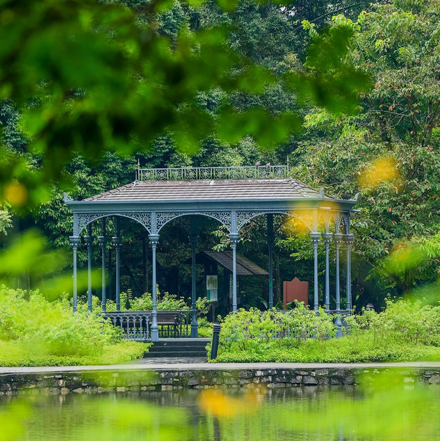10 Hidden Facts About Singapore Botanic Gardens You Never Knew About