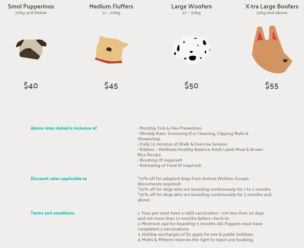 7 Pet Hotels In Singapore That Will Give You Peace Of Mind