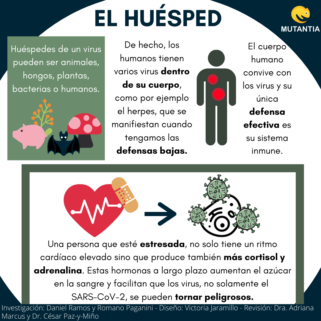 La relación entre humanos, los virus y otros seres vivos mutantia.ch
