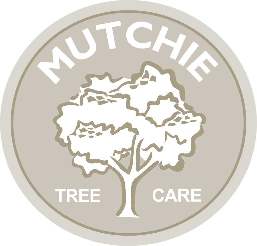 MTC_secondary_twocolor Mutchie Tree Service