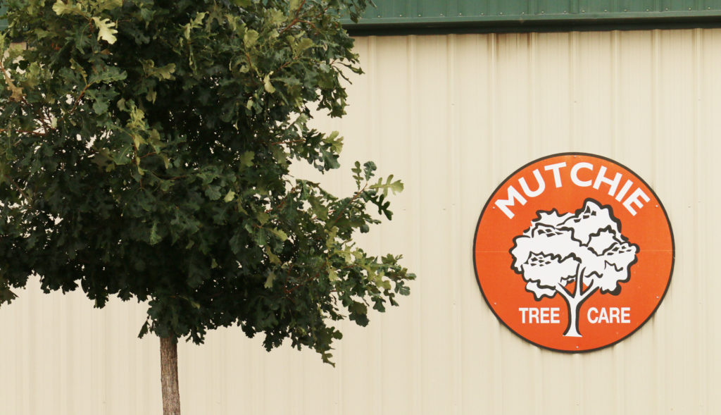 MTS_ServiceCenter Mutchie Tree Service