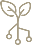 Mutchie Tree Service Omaha All information about Service
