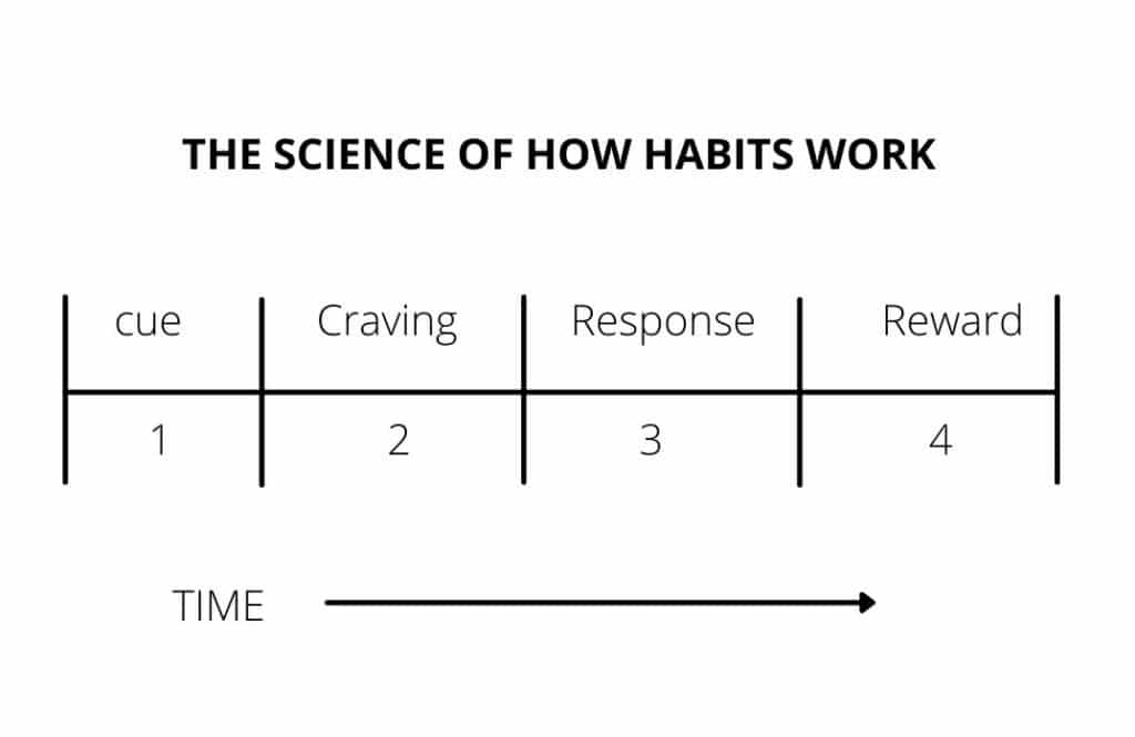 Atomic Habits By James Clear Summary MuthusBlog