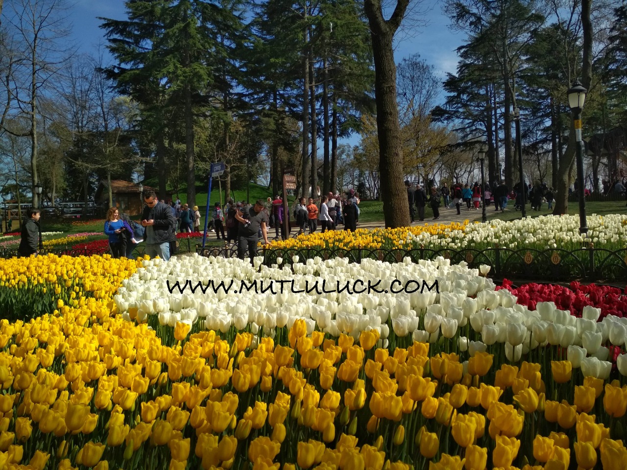 Musim Bunga Tulip Di Turki / Paket wisata tour ke turki 6 hari 5 malam