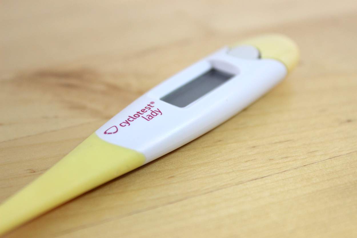 Basalthermometer » Test, Vergleich & Ratgeber 2024