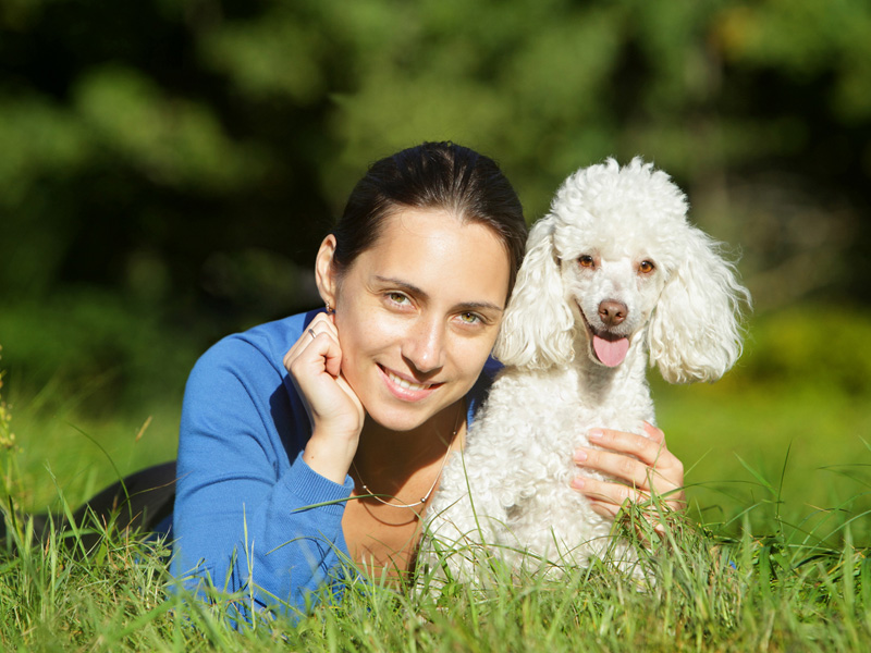 Board and Train Best Friend's Dog Training