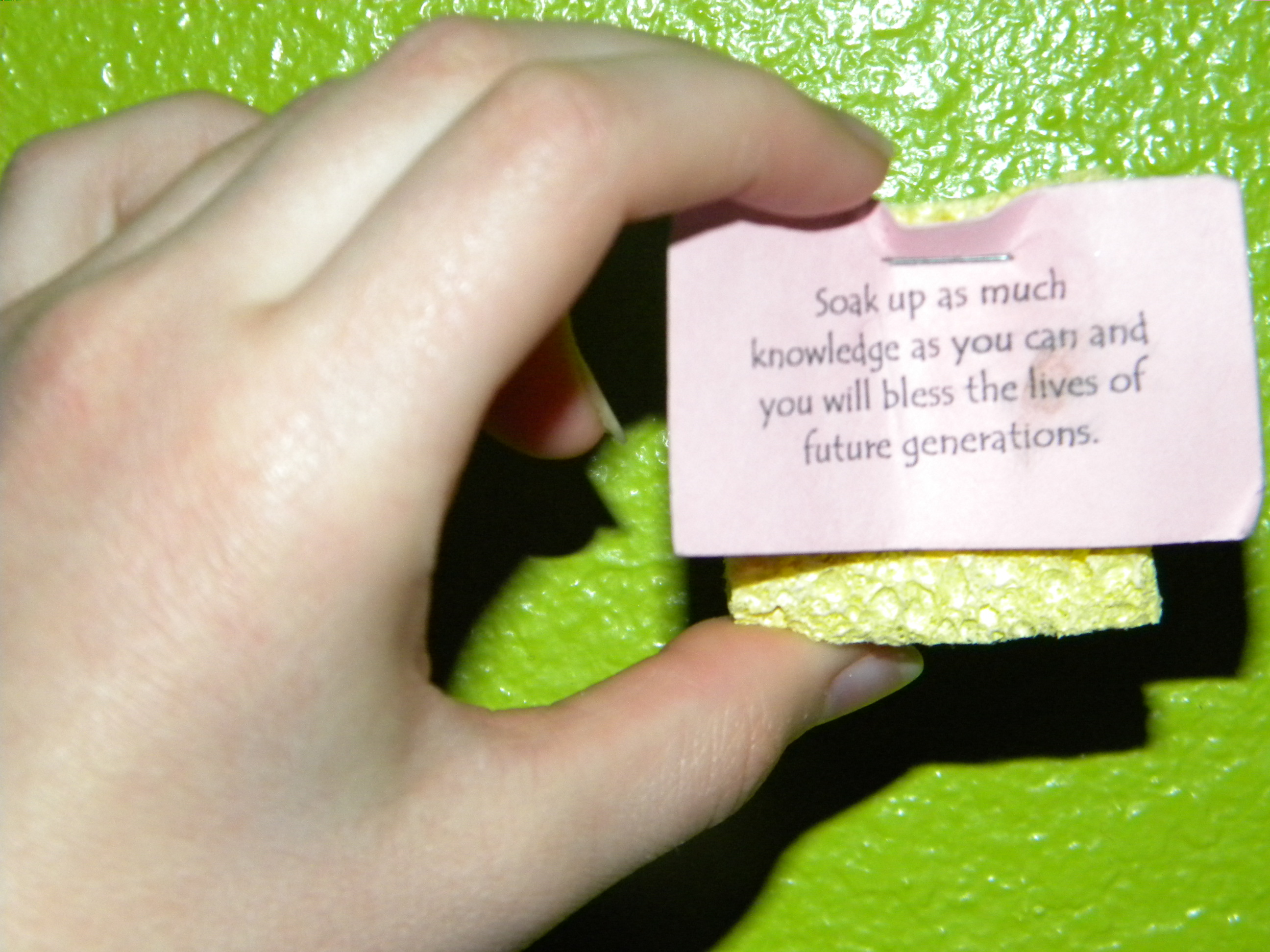 Handout Soak Up Knowledge Mutual Ideas and Activities