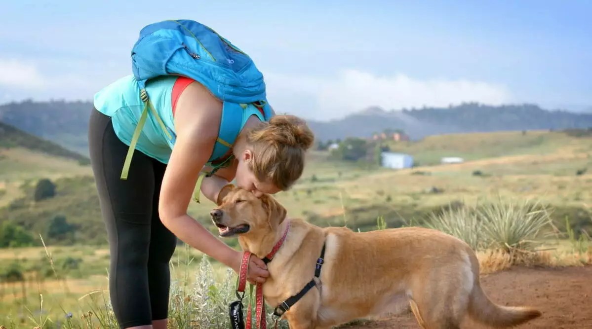 Doggy Day Out Participating Shelters Mutual Rescue
