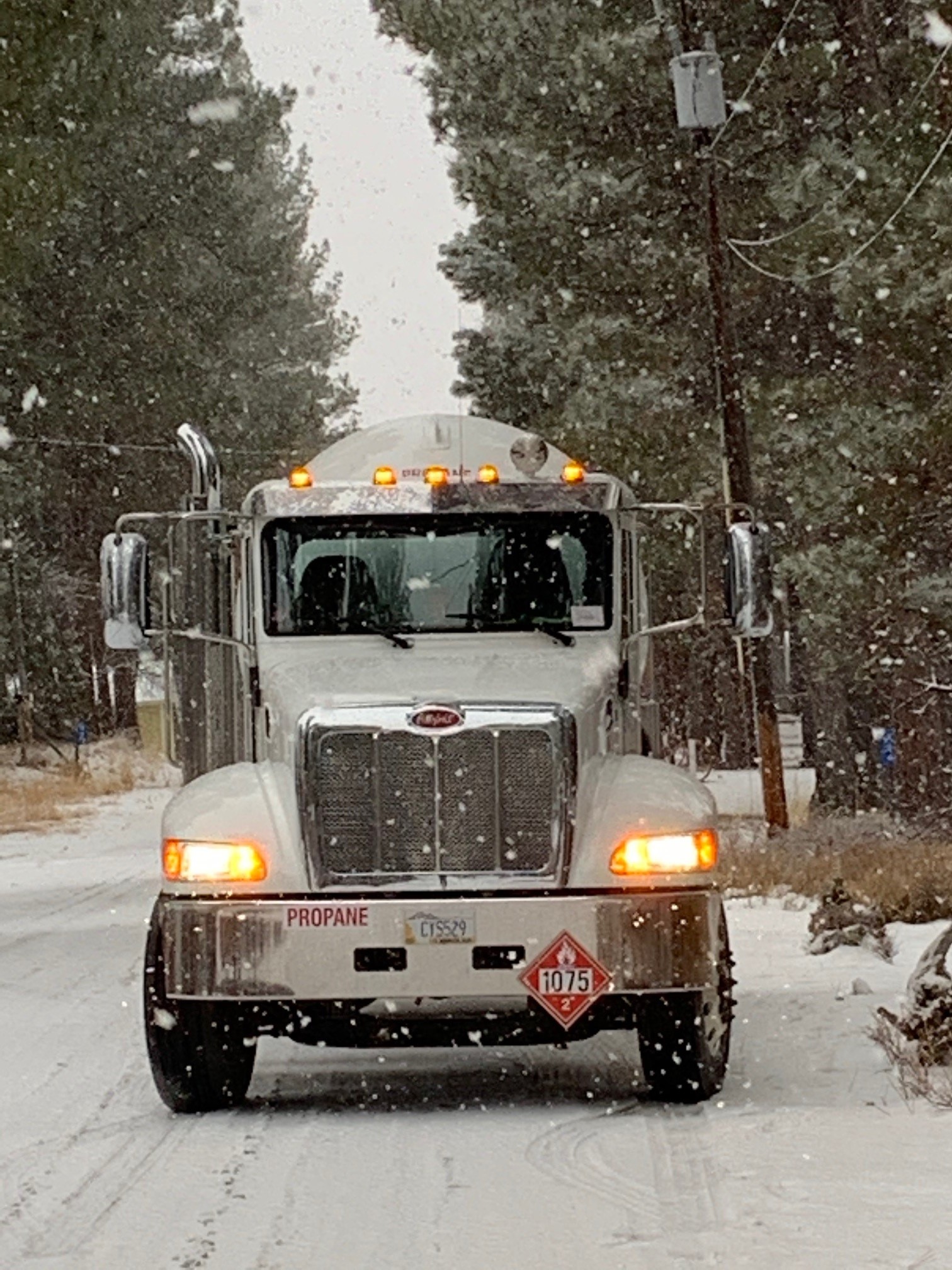 The talented Mr. Rapp Mountain View Coop