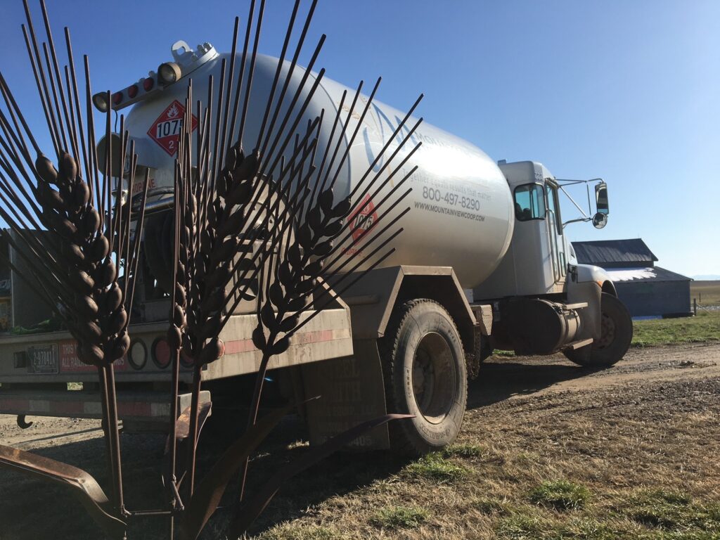 The talented Mr. Rapp Mountain View Coop