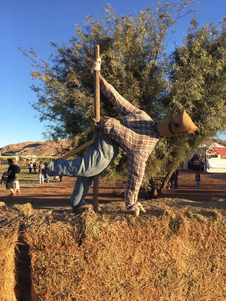 Home Moapa Valley Cornmaze