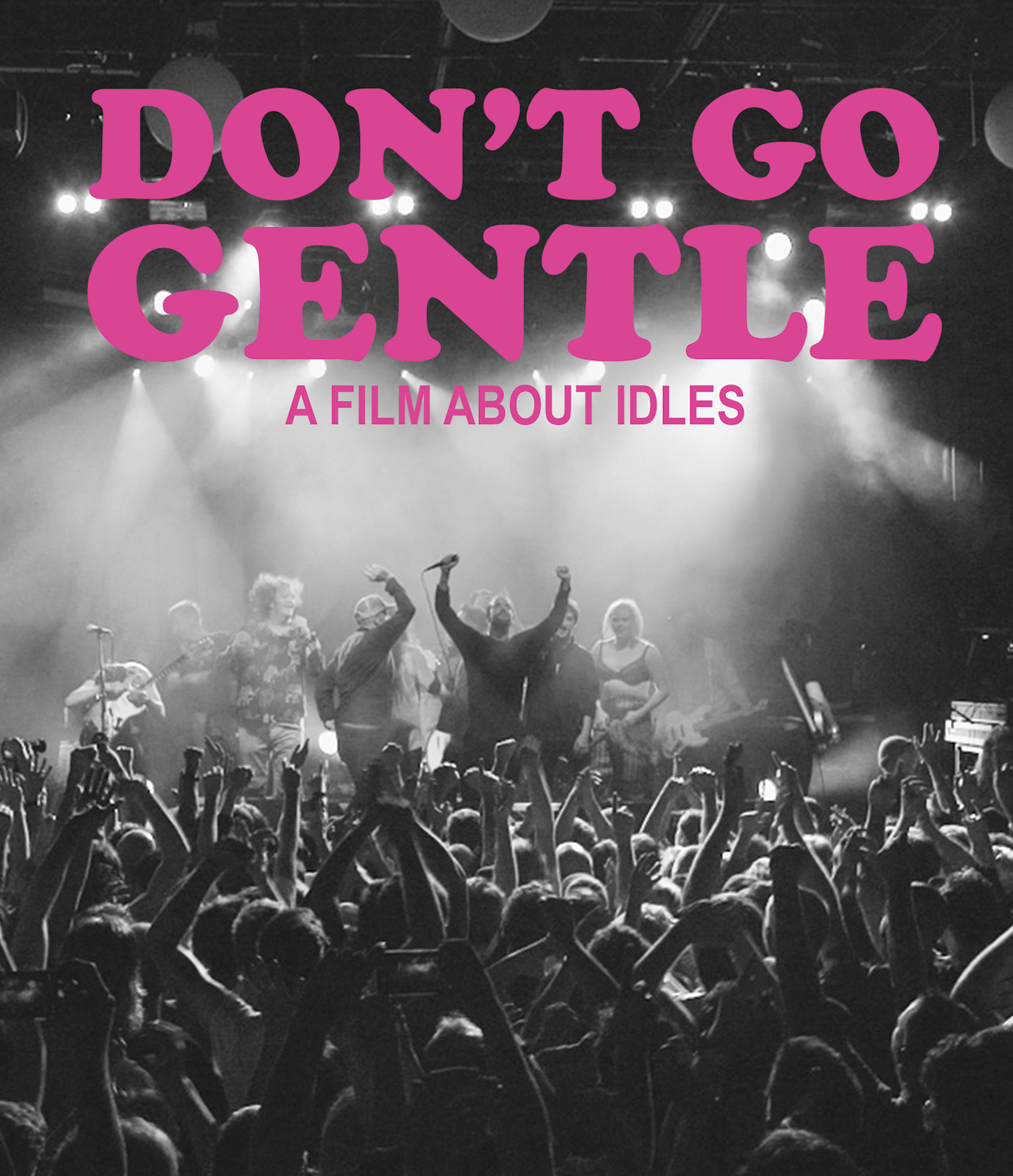 IDLES Don't Go Gentle A Film About IDLES MVD