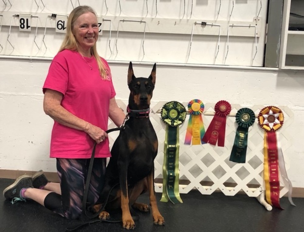 Specialty Show 2012 Miami Valley Doberman Pinscher Club