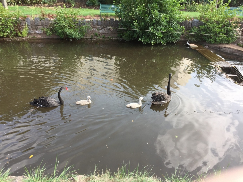 MVERA Millbrook Village Exeter Residents Association