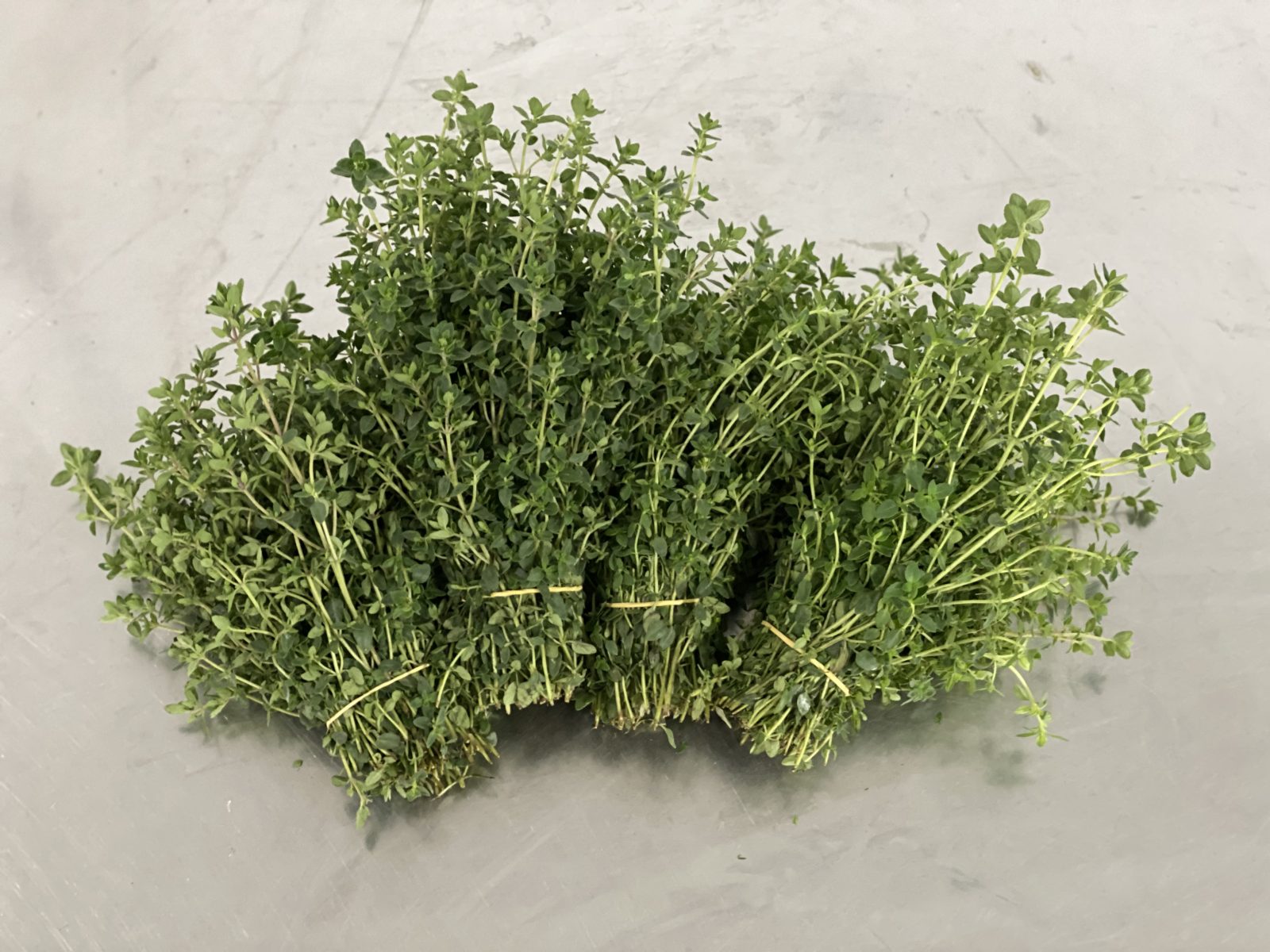 Thyme Monte Vista Farms