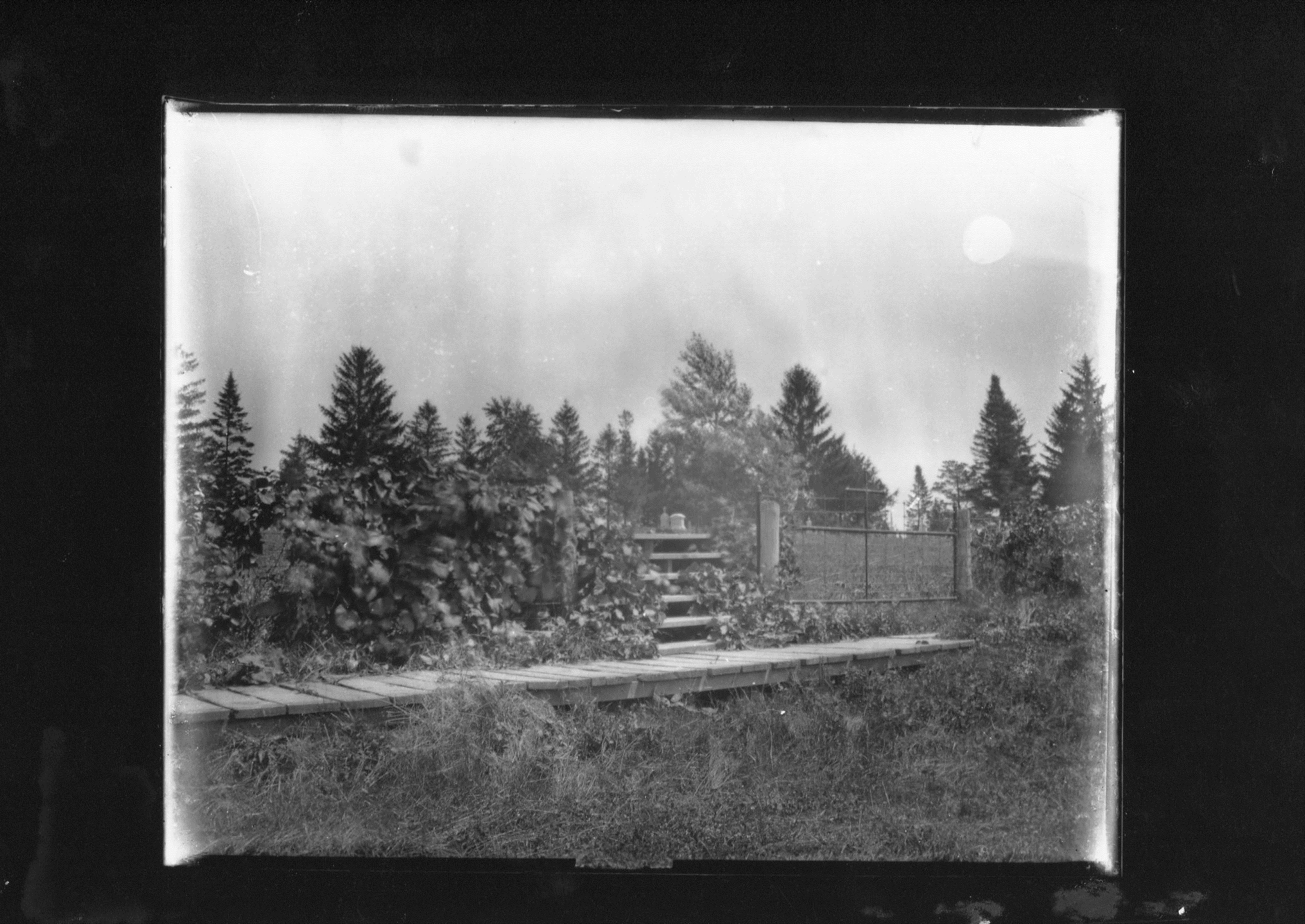 Cemetery Boardwalk Mount Vernon Historic Preservation Commission