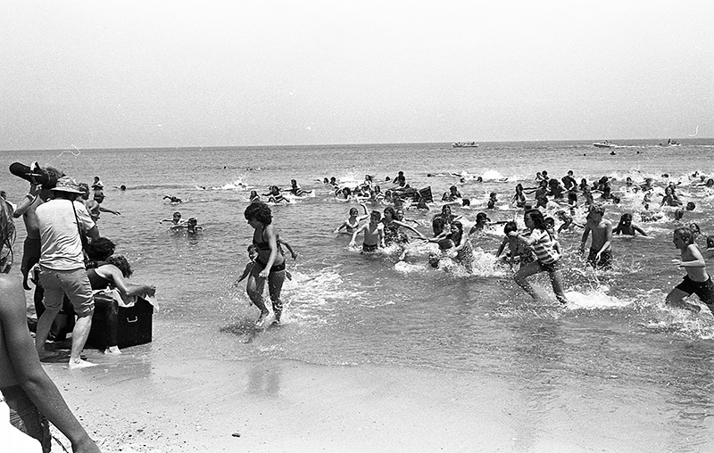 Jaws MV Museum Jaws MV Museum