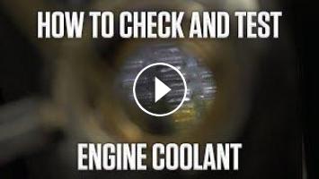 DIY: How to Check and Test Engine Coolant