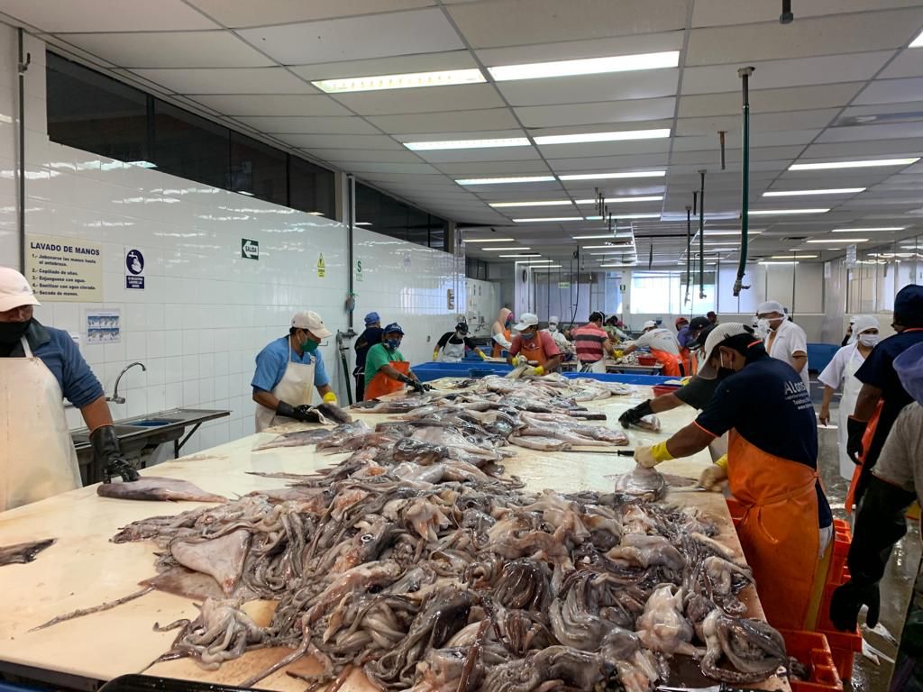 MVP Enterprise Nosotros