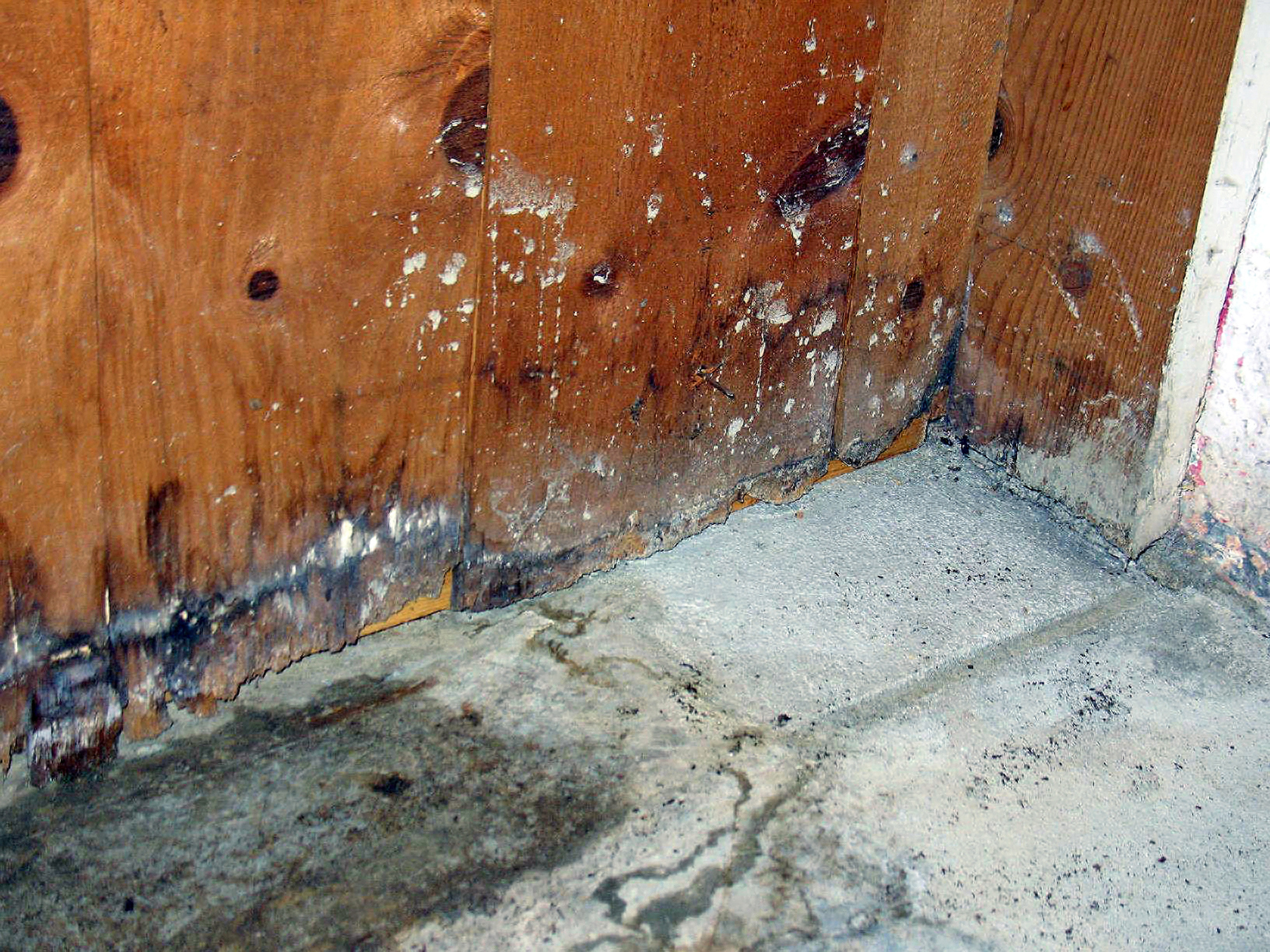 Boca Raton Water Damage Mold Damage Mold Restoration