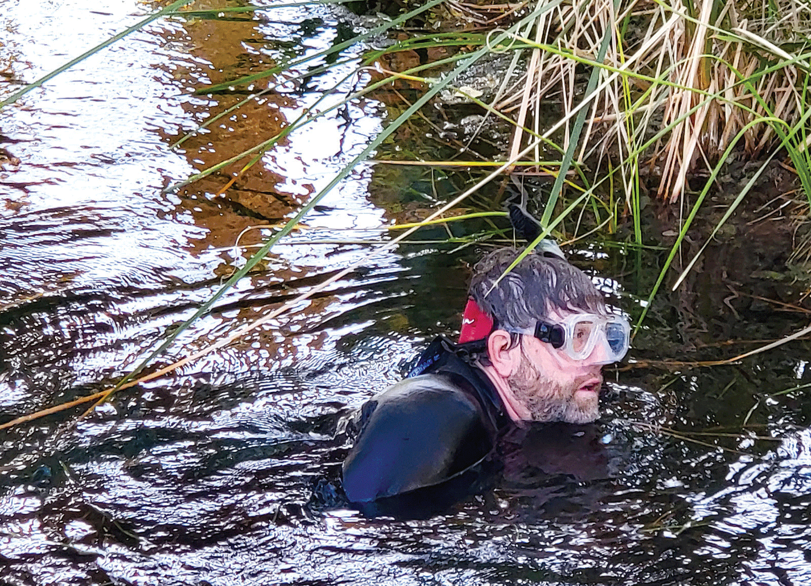 Moapa Dace Winter Count Results Hold Steady The Progress