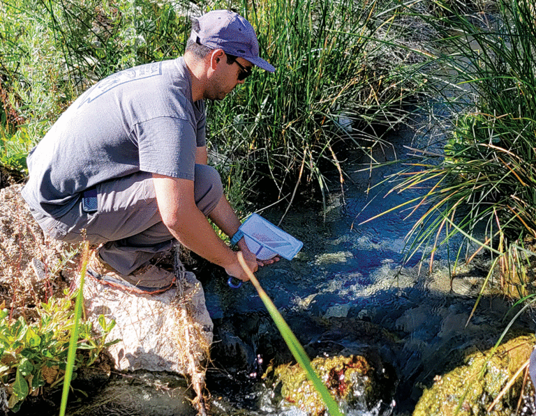Moapa Dace Return Home to Warm Springs The Progress