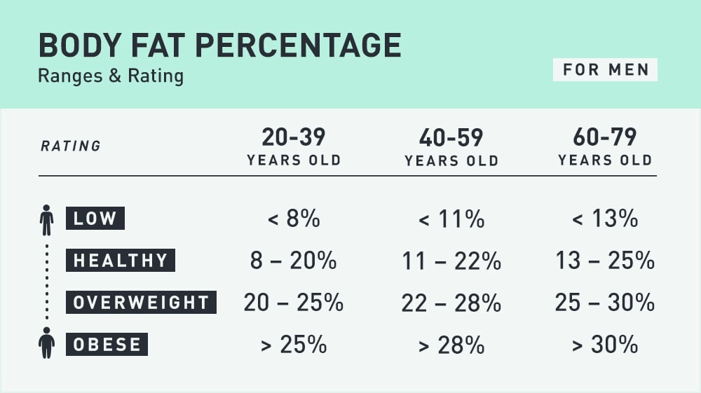 Understanding Body Fat Percentages – MVP Training NZ